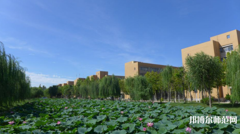 東營(yíng)職業(yè)師范學(xué)院2023年報(bào)名條件、招生要求、招生對(duì)象 