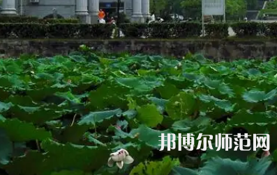 南華師范大學(xué)紅湘校區(qū)2023年報(bào)名條件、招生要求、招生對(duì)象