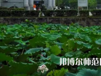 南華師范大學(xué)紅湘校區(qū)2023年報(bào)名條件、招生要求、招生對(duì)象