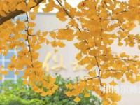 咸陽職業(yè)技術(shù)師范學院2023年招生計劃