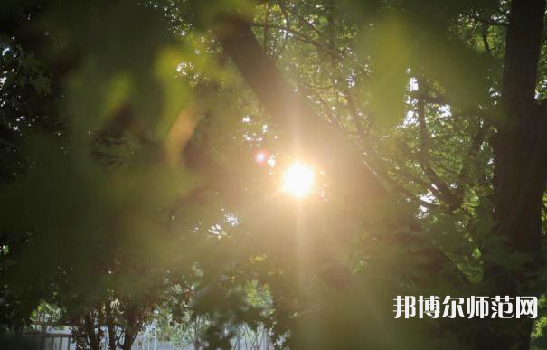 咸陽職業(yè)技術(shù)師范學(xué)院2023年報(bào)名條件、招生要求、招生對象