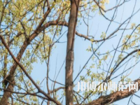 湖南大學(xué)師范學(xué)院南校區(qū)2023年怎么樣、好不好