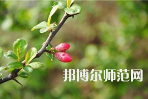 西安幼兒師范職業(yè)學(xué)校2023年學(xué)費(fèi)、收費(fèi)多少