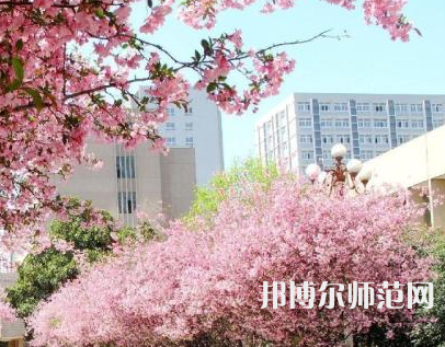 中國礦業(yè)師范大學(xué)徐海學(xué)院2023年報(bào)名條件、招生要求、招生對象