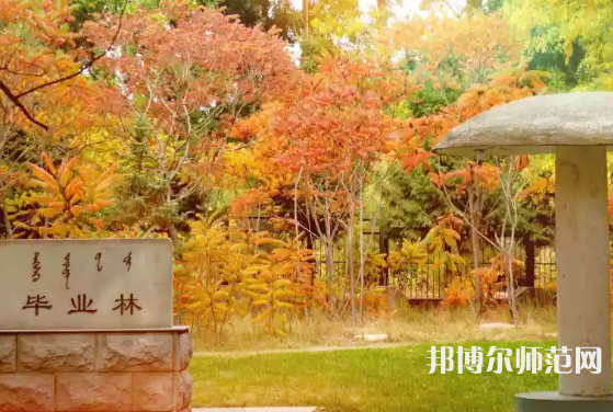 內(nèi)蒙古大學(xué)師范學(xué)院滿(mǎn)洲里學(xué)院2023年怎么樣、好不好