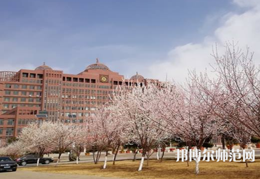 內蒙古大學師范學院南校區(qū)2023年招生代碼