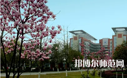 長(zhǎng)江師范學(xué)院2023年報(bào)名條件、招生要求、招生對(duì)象 