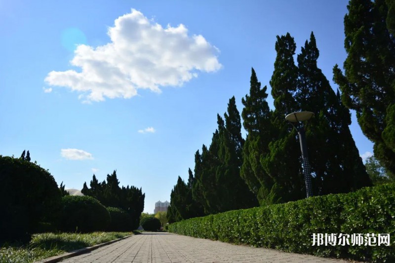 山東石油化工師范學(xué)院2023年報(bào)名條件、招生要求、招生對象 