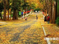 海南大學(xué)師范學(xué)院海甸校區(qū)2023年報名條件、招生要求、招生對象