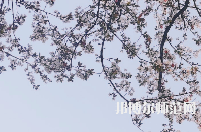 湖南第一師范學(xué)院城南書院校區(qū)2023年學(xué)費、收費多少