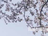 湖南第一師范學(xué)院城南書院校區(qū)2023年學(xué)費(fèi)、收費(fèi)多少