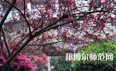 湖南第一師范學(xué)院城南書院校區(qū)2023年怎么樣、好不好