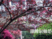 湖南第一師范學院城南書院校區(qū)2023年怎么樣、好不好