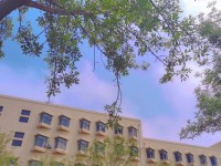 青島師范大學(xué)浮山校區(qū)2023年報(bào)名條件、招生要求、招生對(duì)象