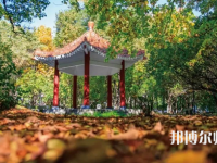 黑龍江師范大學(xué)2023年報(bào)名條件、招生要求、招生對(duì)象