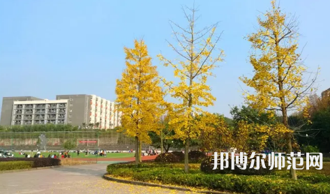 重慶幼兒師范高等專(zhuān)科學(xué)校梨園校區(qū)2023年是幾本