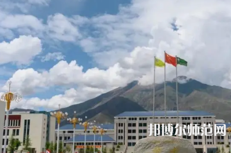 拉薩師范高等?？茖W校2023年招生代碼