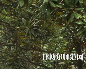湖南師范大學(xué)樹達(dá)學(xué)院2023年學(xué)費、收費多少