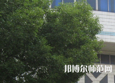 湖南師范大學(xué)樹達學(xué)院2023年有哪些專業(yè)