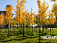 瀘州幼師職業(yè)技術(shù)學校2023年學費、收費多少