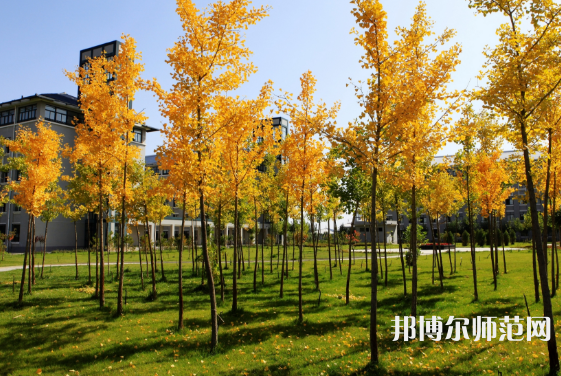 瀘州啟明幼師職業(yè)技術(shù)學(xué)校2023年怎么樣、好不好