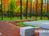 長江大學(xué)文理學(xué)院2023年怎么樣、好不好