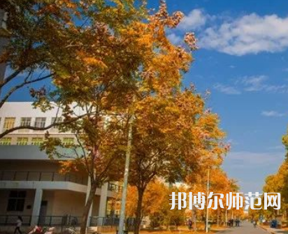 南京師范大學(xué)泰州學(xué)院2023年報(bào)名條件、招生要求、招生對象