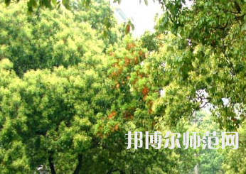 衡陽(yáng)師范學(xué)院南岳學(xué)院2023年怎么樣、好不好