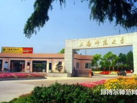 上海師范大學(xué)2023年報名條件、招生要求、招生對象