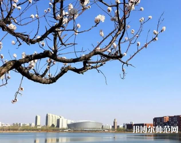 天津理工師范大學(xué)2023年報(bào)名條件、招生要求、招生對(duì)象