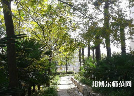 西北大學(xué)師范學(xué)院桃園校區(qū)2023年怎么樣、好不好