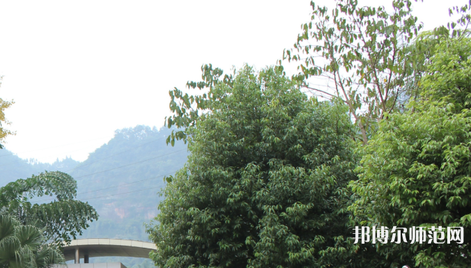自貢大安幼師職業(yè)技術(shù)學(xué)校2023年學(xué)費(fèi)、收費(fèi)多少