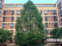 四川師范大學成都學院眉山校區(qū)2023年怎么樣、好不好