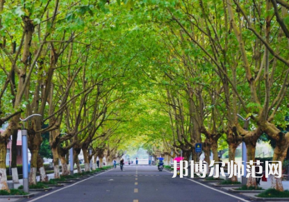 四川農(nóng)業(yè)師范大學雅安校區(qū)2023年怎么樣、好不好