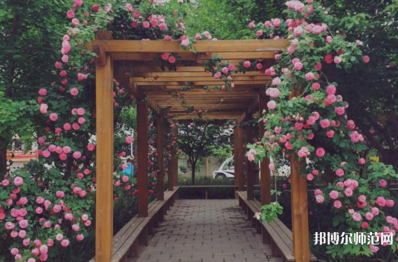 西安工業(yè)師范大學(xué)2023年報(bào)名條件、招生要求、招生對(duì)象